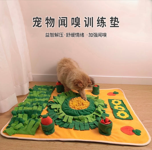 Sniffing Play Mat